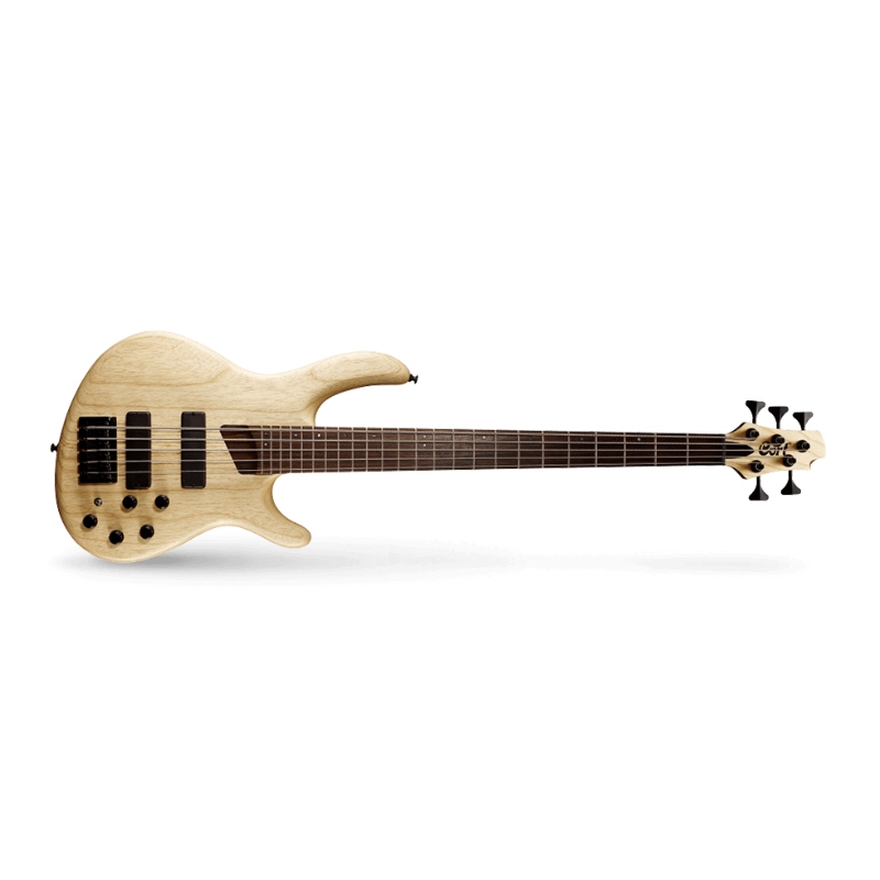 Artisan bass shop