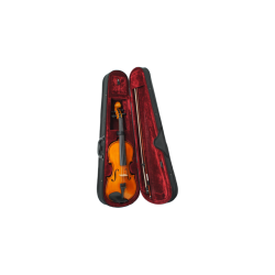 Hofner Violins