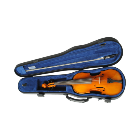 hofner violin h11 with case picture