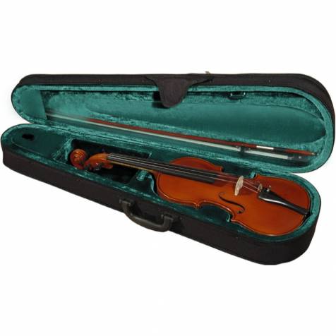 Hora violin case