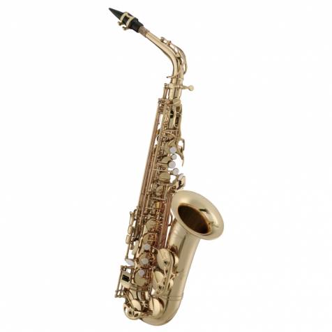 Maxtone Alto Sax