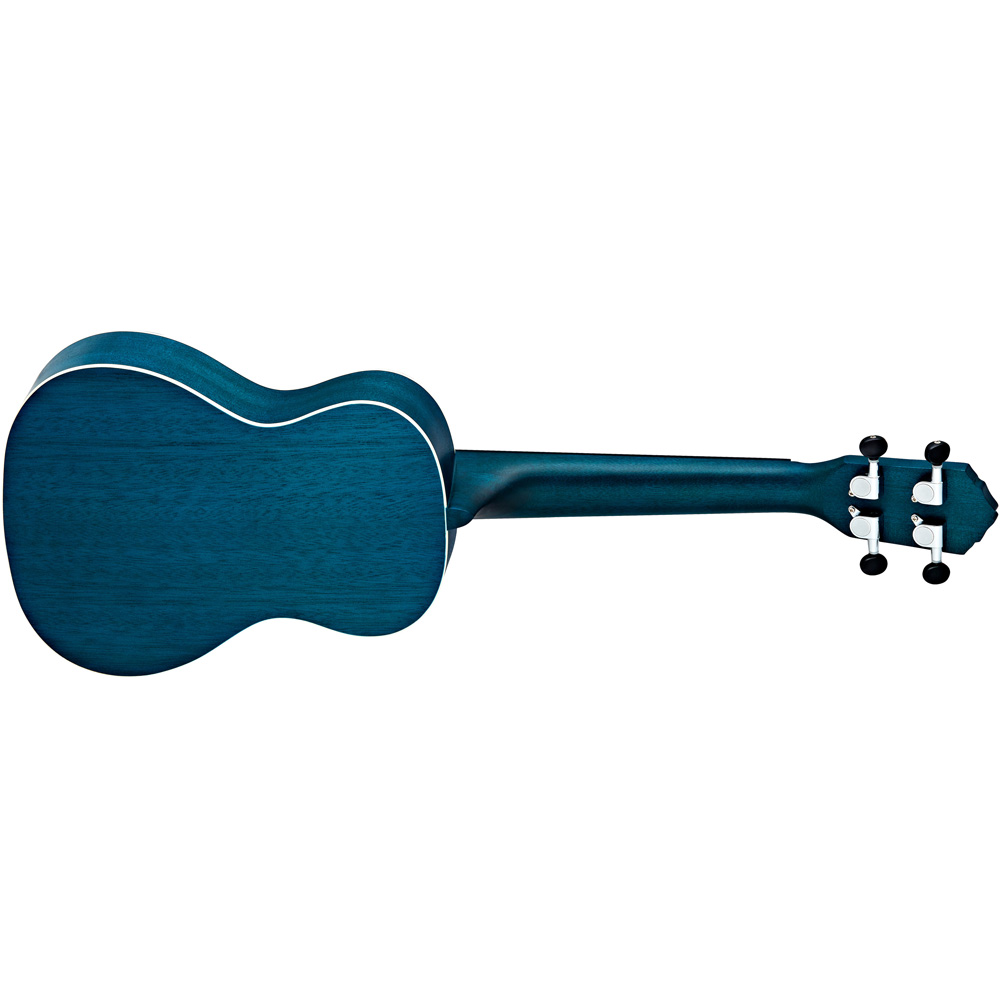 Ortega BUNDLE OFFER RUOCEAN Earth Series Concert Ukulele with