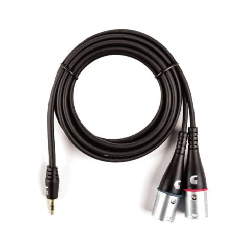 Planet Waves PW-MPXLR-06 Custom 6 ft Cable - 3.5mm to Dual XLR Y-Cable