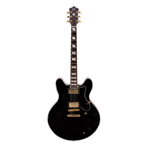 SX Semi Acoustic Guitar w/Hard Case GG5/CUS/BK