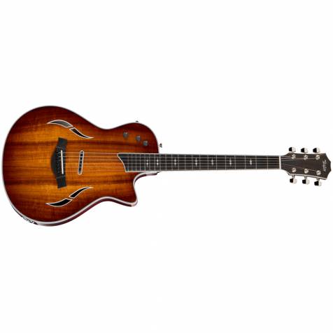 Taylor Guitars T5z Custom K