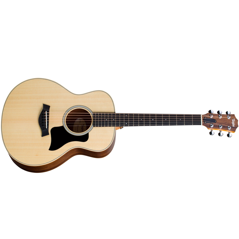 Taylor gs mini bag deals
