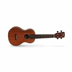 cort concert ukulele