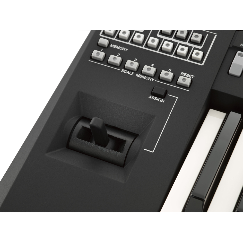 Yamaha psr a3000 hotsell